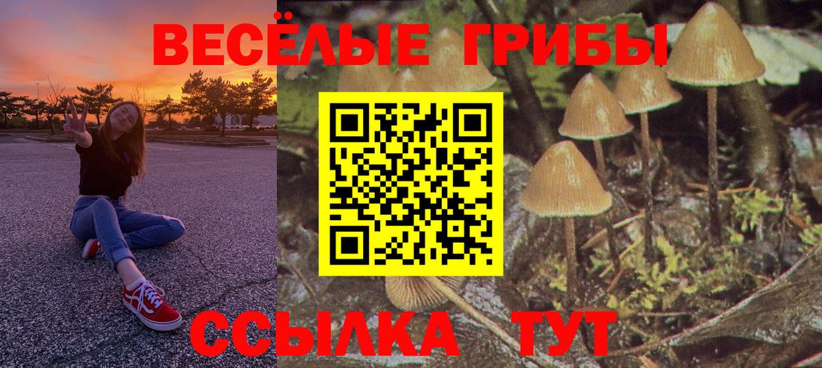 Псилоцибиновые грибы MAGIC MUSHROOMS Ирбит