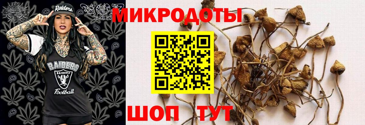 Псилоцибиновые грибы Cubensis  Галлюциногенные грибы Magic Shrooms  Вход с VPN  Ирбит 